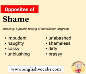 antonyms of shiny|what is the opposite of shame.